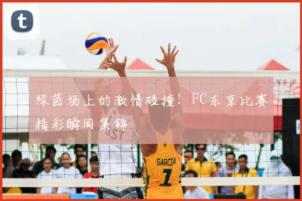 绿茵场上的激情碰撞！FC东京比赛精彩瞬间集锦