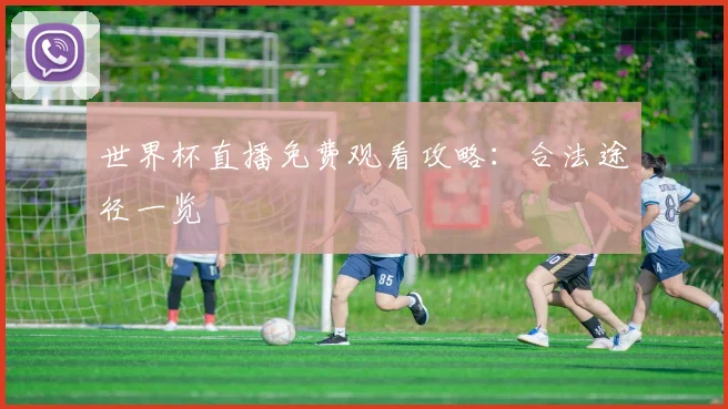 世界杯直播免费观看攻略：合法途径一览