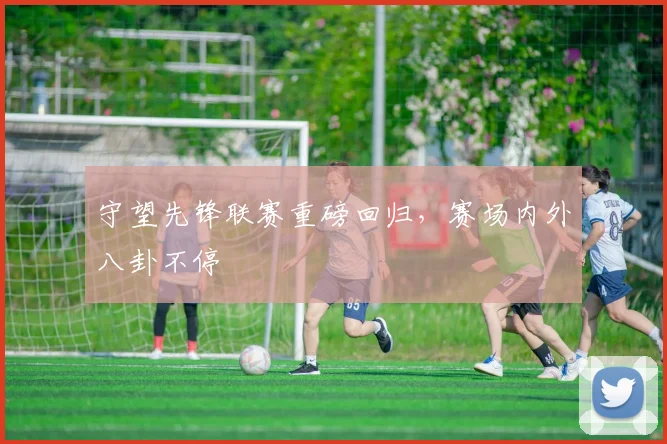 守望先锋联赛重磅回归,赛场内外八卦不停