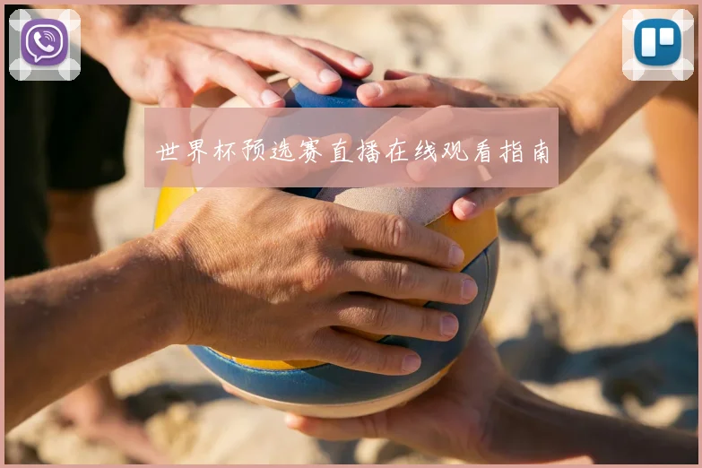 世界杯预选赛直播在线观看指南