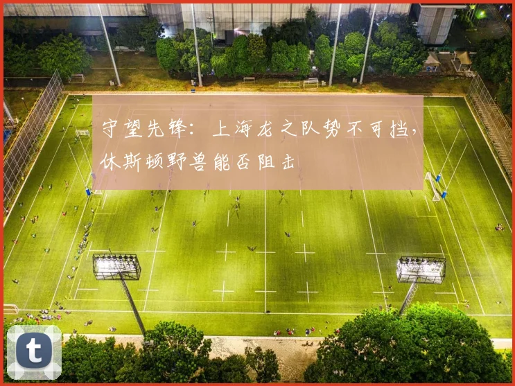 守望先锋:上海龙之队势不可挡,休斯顿野兽能否阻击